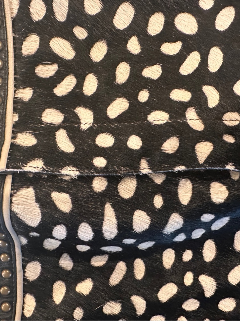 Double D Ranch Black and Gold Leopard-Print Jean Shorts - Picture 8 of 11